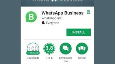 Business WhatsApp